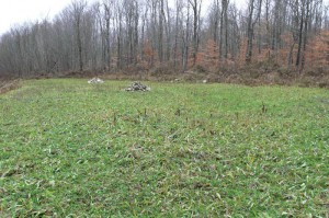 Novembre 2010