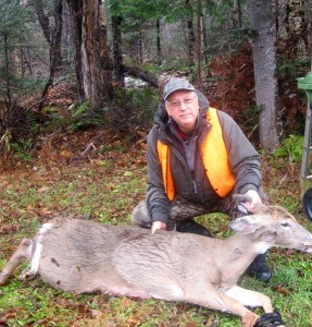 Chevreuil (biche)