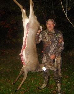 Chevreuil (biche)